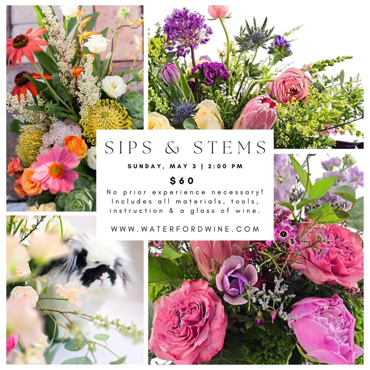 Wine & Design - Spring Floral Workshop with Flora Elements - Delafield Only
