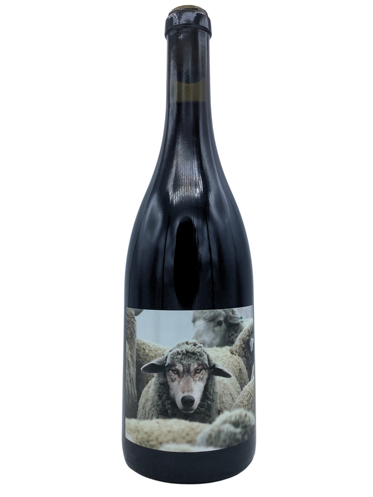 Maison Noir In Sheep’s Clothing Pinot Noir