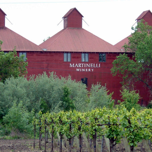 Winery Visit: Martinelli And The Soul of Sonoma Farming - Madison