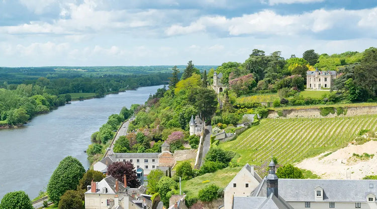 From Atlantic Breezes to Limestone Hills: Wines of the Loire - Delafield