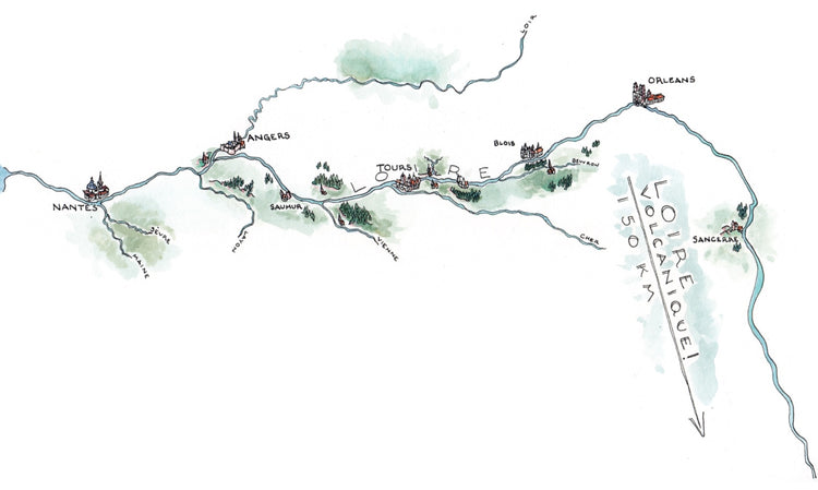 From Atlantic Breezes to Limestone Hills: Wines of the Loire - Delafield