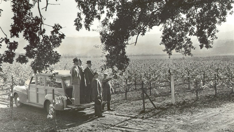 Beaulieu Vineyard Georges de Latour Private Reserve