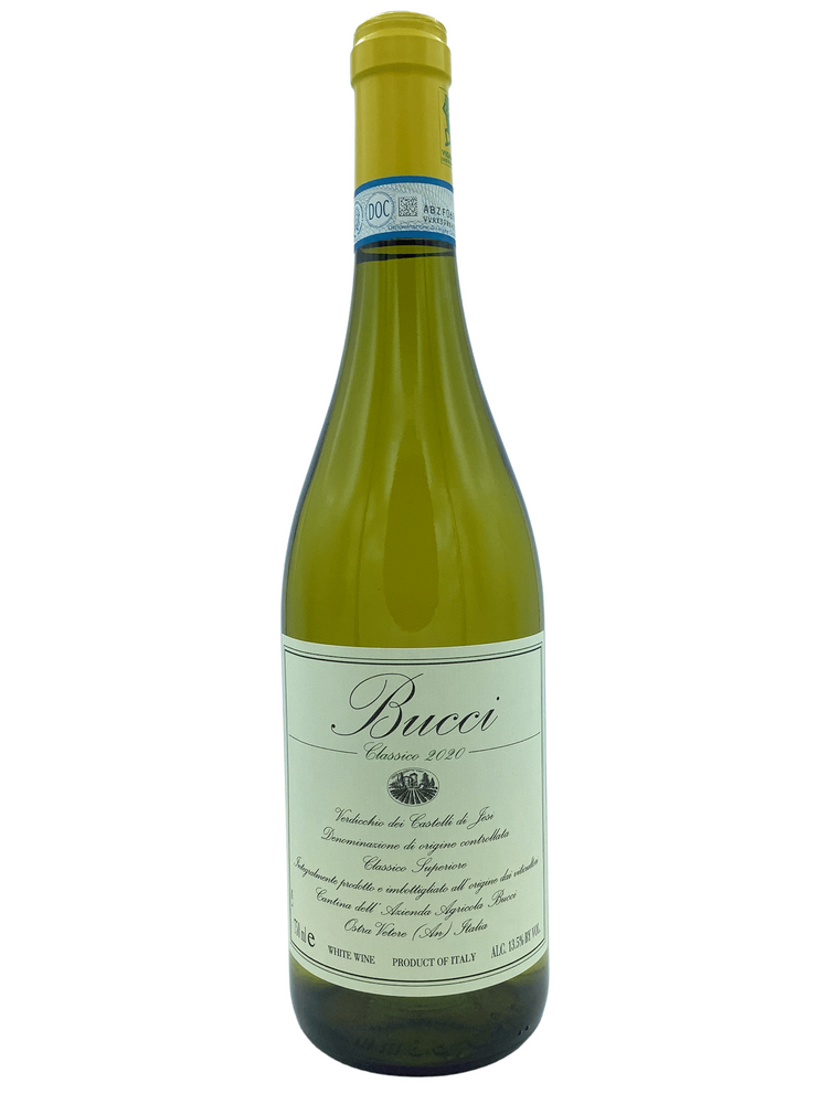 Bucci Classico Verdicchio dei Castelli di Jesi