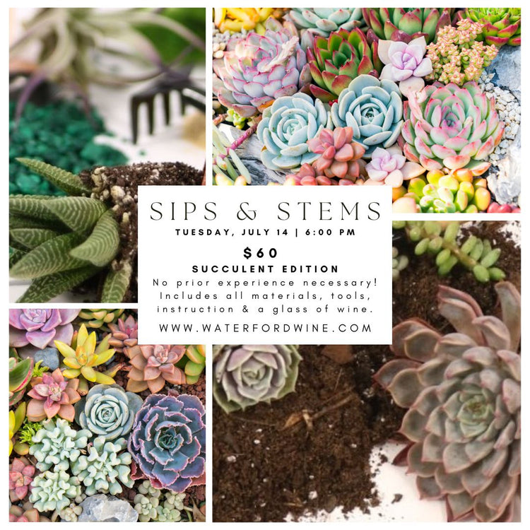 Wine & Design - Summer Floral Workshop with Flora Elements (Succulent Edition) - Delafield Only