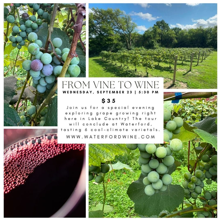 From Vine to Wine: Project Genesys Vineyard Tour & Cool-Climate Wine Tasting