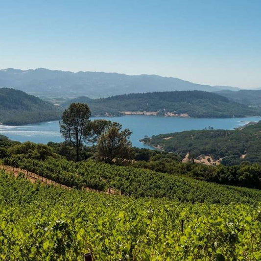 The Heights of Napa: Chappellet Winery Visit