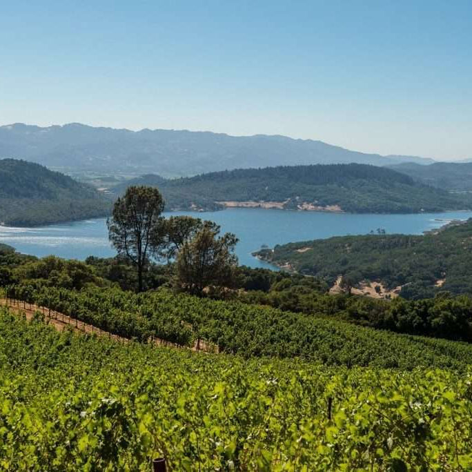 The Heights of Napa: Chappellet Winery Visit