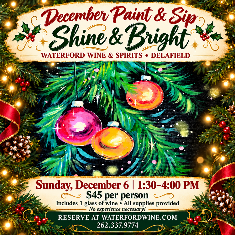 Paint & Sip: Winter “Shine & Bright”! December - Delafield Only