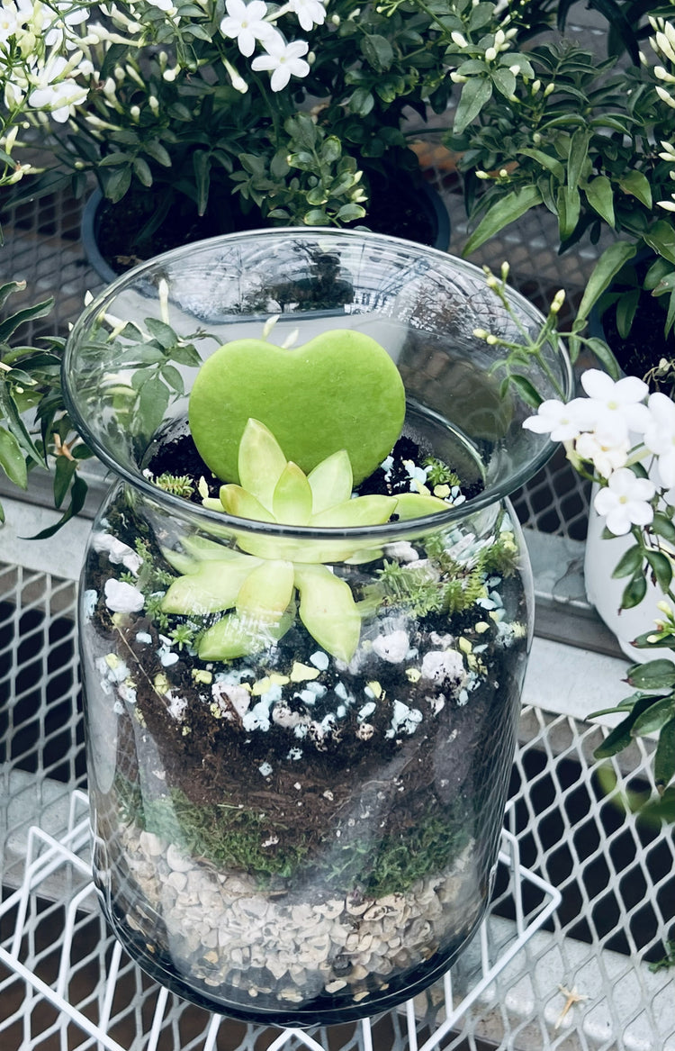Sips & Stems Spring Succulent Terrarium with Fitchburg Farms