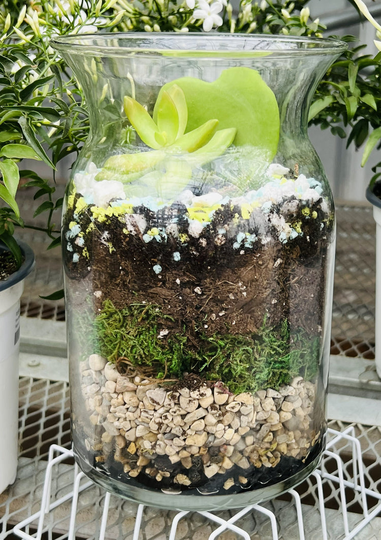 Sips & Stems Spring Succulent Terrarium with Fitchburg Farms