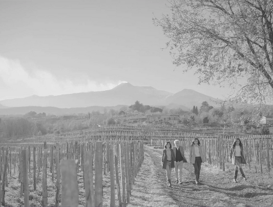 The Great Whites of Etna: Cantina Maugeri - Milwaukee