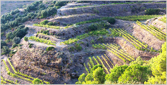 Big Red Spain: Priorat, Riberia del Duero, and so much more - All Stores