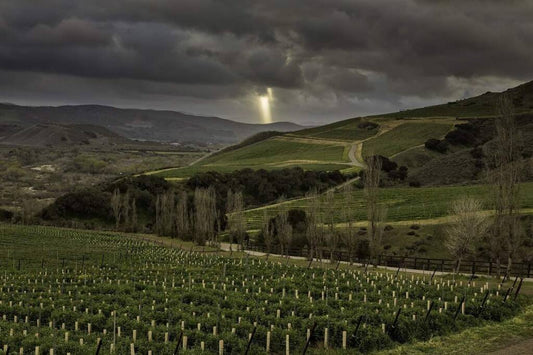 Santa Barbara