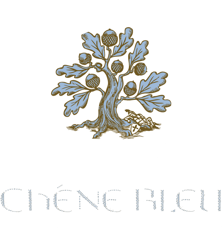 Haut Couture in Viticulture: Chene Bleu Winery Visit - Milwaukee