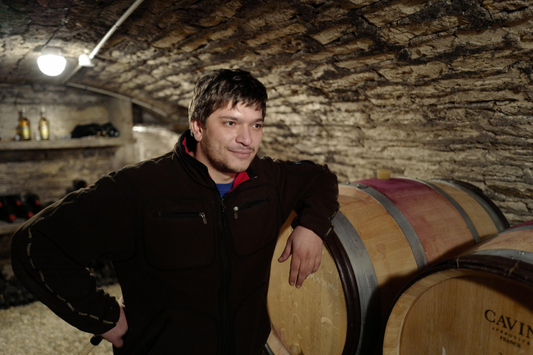 A Bonafide Star in the Cote de Nuits: Domaine Georges Noellat - Green Bay Only