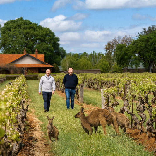 Elderton Winery Visit - Green Bay