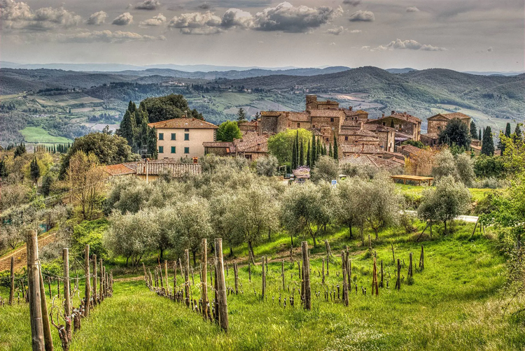 An afternoon with Nicolo Masheroni Stianti of Castello di Volpaia - Milwaukee Only