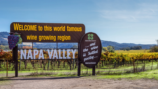 Napa Valley Wines with Joe Kane - Delafield