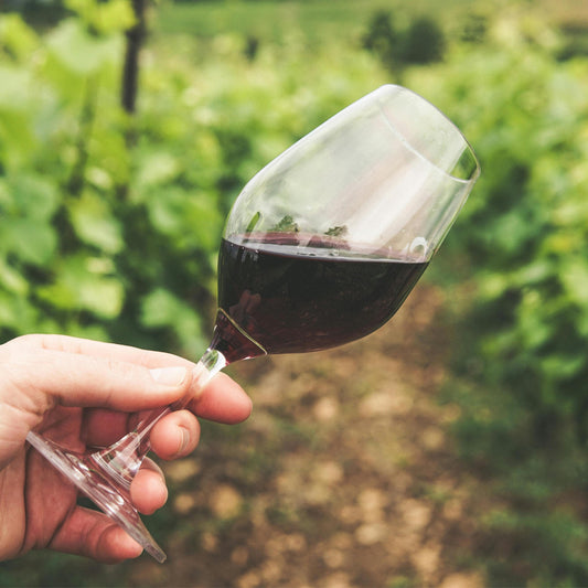 Baby Burgundy Festival - Delafield Only