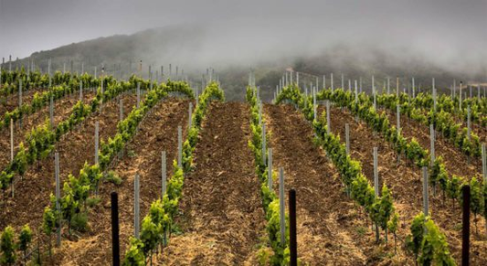 California Icons - Delafield