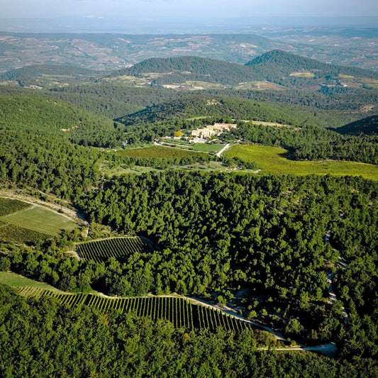 Haut Couture in Viticulture: Chene Bleu winery visit