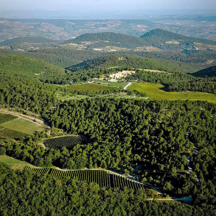 Haut Couture in Viticulture: Chene Bleu winery visit - Milwaukee