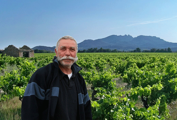 Sang des Cailloux Vacqueyras Cuvee Floureto, Doucinello, or Azalaïs