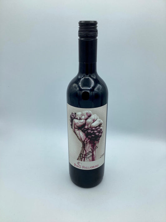 Pablo Fallabrino Anarkia Tannat 2022